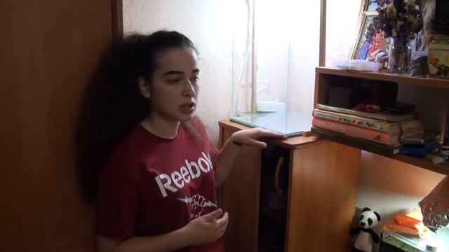 МОИ ЛЮБИМЦЫ / АКВАРИУМИСТИКА / ТЕРРАРИУМИСТИКА / ЗАПУСК НОВОГО КУБИЧЕСКОГО АКВАРИУМА смотреть онлайн