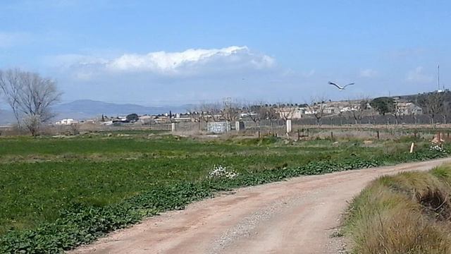 578-ANTONIO VIVALDI Concierto mandolina D major Rv. 93 смотреть онлайн