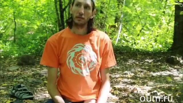 Андрей Верба. Русский санскрит. смотреть онлайн