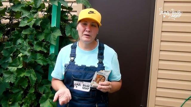 Погреб без патогенов и вредителей. Сохраним урожай на 100% до весны смотреть онлайн