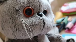 Утренний влог с Котами-Басиками и кошечкой Лили