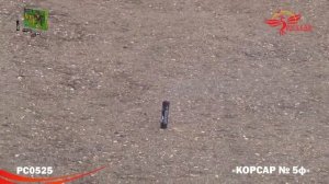 Петарды Корсар-5 РС0525