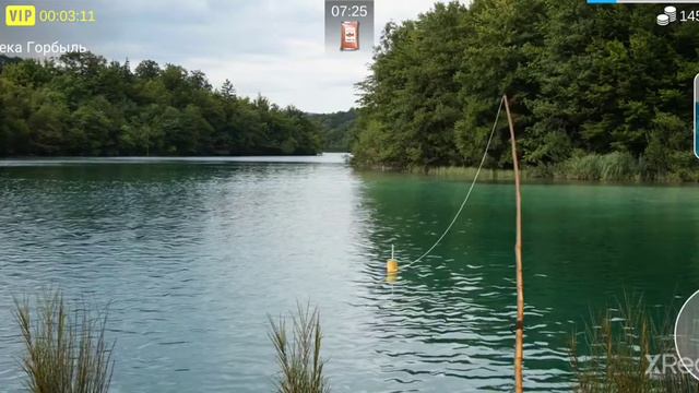 прохождение игры My Fishing World