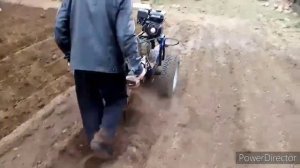 Посадка картофеля под мотоблок 2020 год