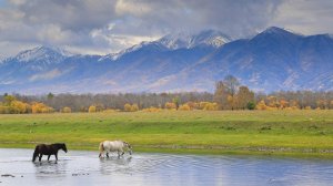 Иркут за 5 минут