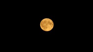 «Цветочную» луну увидели жители Петербурга