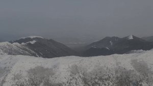 "Одиночество" И.Бродский. Читает Андрей Баракуда