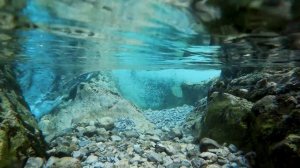 Звуки подводного мира, поток воды бурлит Underwater Sounds of relaxation