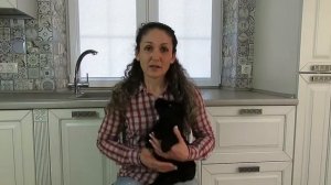Количество кормлений щенка  Важный совет относительно сухого корма!