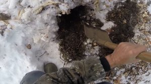 Как накопать червей зимой, видео rybachil.ru.mpg