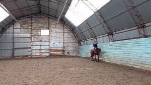 Ошибки при работе шенкелем у начинающих всадников