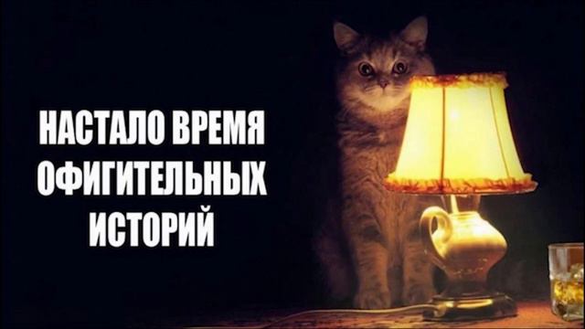 Лучший тренер по бегу и его [СЕКРЕТНЫЙ МЕТОД]. Селуянов и миф и нём. Аудиоподкаст.