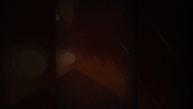 Ёжик кошачья расчёска смотреть онлайн