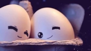 Tahani al Hob (Wedding nasheed) | محمد المقيط - تهاني الحب | Muhammad al Muqit