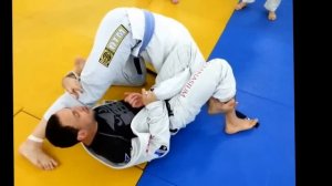 Omoplata from guard/ Омоплата из гарда/ Master Alexander Deda Faria