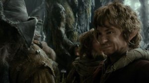 Гэндальф покидает отряд и предупреждает об опасностях. Лихолесье. HD