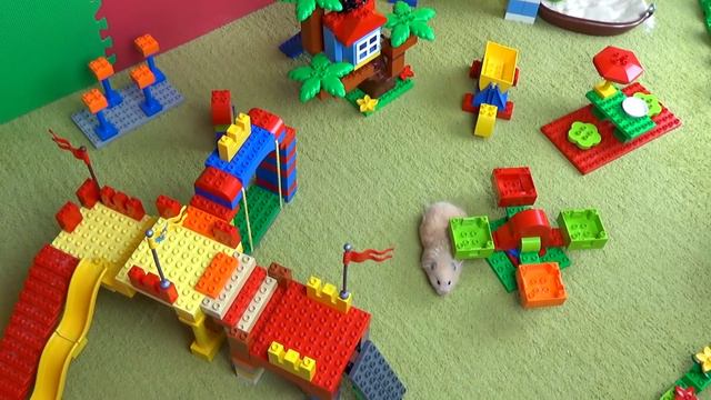 Tiny Hamster in Lego Park
