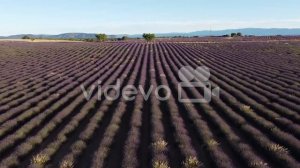 Саккура. Музыка для расслабления, медитации, учебы, чтения, массажа, спа или сна.