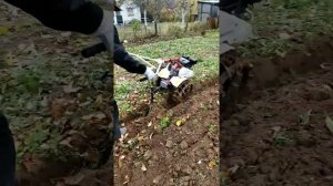 Мотоблок Фаворит с плугом.