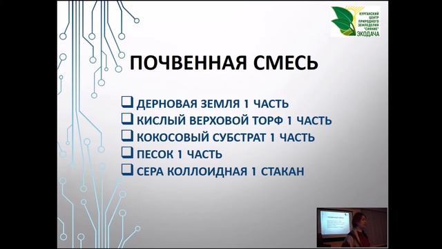 Выращивание рододендронов в Зауралье смотреть онлайн