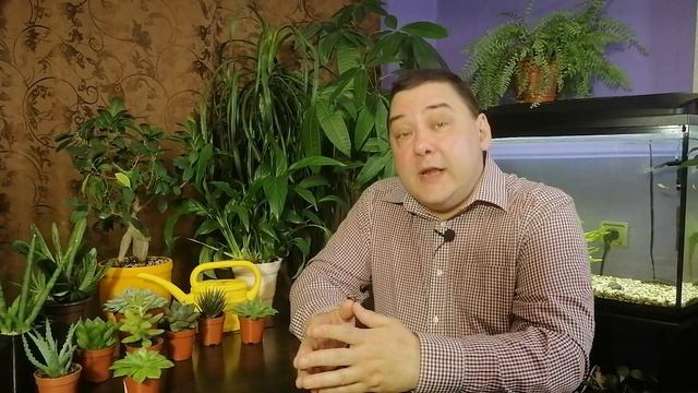 Вот как надо поливать цветы. [ЧТО, РАЗВЕ НЕ ЗНАЛИ?!] смотреть онлайн