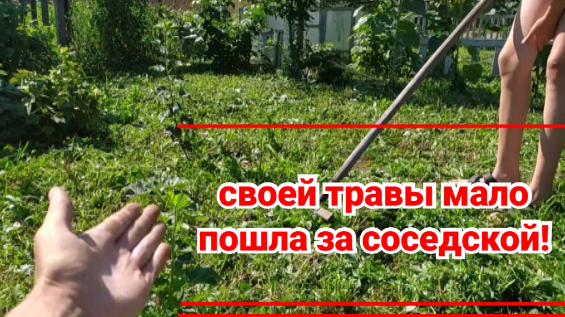 борьба с сорняками - мульча спасение!