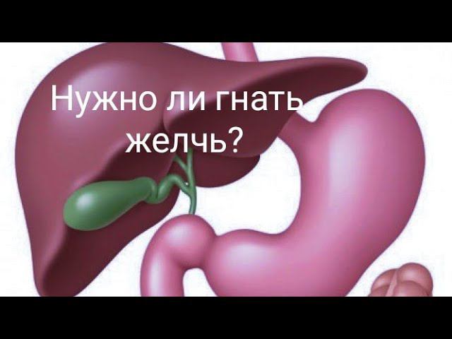 Нужно ли гнать желчь?