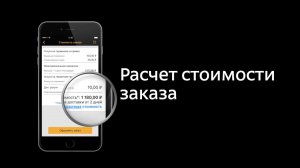 Мобильное приложение "Деловые Линии" для iOS