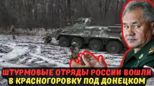 ШТУРМОВЫЕ ОТРЯДЫ РОССИИ ВОШЛИ В КРАСНОГОРОВКУ ПОД ДОНЕЦКОМ.