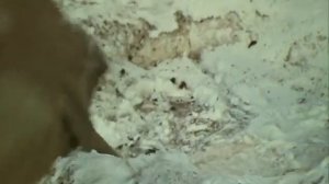 Аты-баты, шли солдаты… (1976) - Балтика