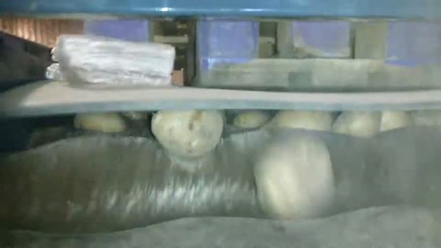 Действующее оборудование (Приемно-падающее устройство, сухая чистка картофеля, инспекционный стол)