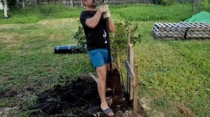 Свайный фундамент своими руками.