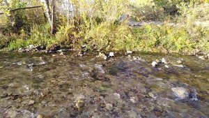 УТРЕННЯЯ МОЛИТВА - СЛАВА РОДУ⚡