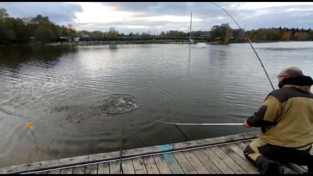 форель на бомбарду