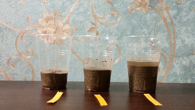 КИСЛОТА ИЛИ ЩЕЛОЧЬ? Какой рН у Комбикорма для растений "Навоз плюс II"? Проверили и поверили! смотреть онлайн