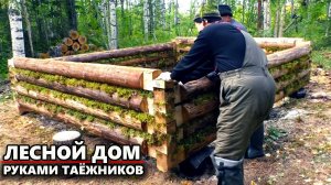 УШЛИ В ГЛУХУЮ ТАЙГУ, ЧТОБЫ ВДАЛИ ОТ ЦИВИЛИЗАЦИИ ПОСТРОИТЬ ДОМ