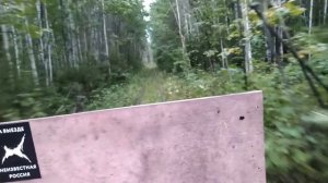Алапаевская УЖД - линия на Берёзовку | Alapaevsk narrow gauge railway, sideline to Berezovka