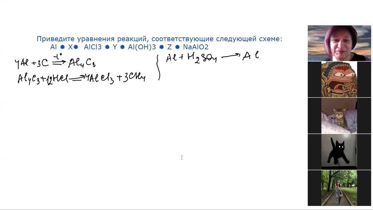 Амфотерные металлы семинар 2 цепочка