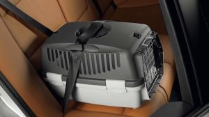 ?КАК ПЕРЕВОЗИТЬ СОБАКУ В МАШИНЕ? | ПРАВИЛА ПЕРЕВОЗКИ