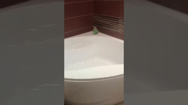 14058 Невский 22-24 смотреть онлайн