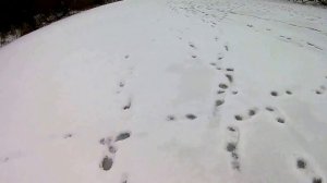 НА РЫБАЛКУ НА ДАСТЕРЕ