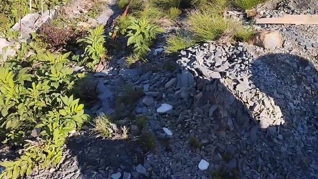 12.10.23 простой готовый септик смотреть онлайн