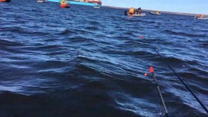 Рыбалка на корюшку с лодки Финский залив 2021