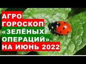 Агрогороскоп "зелёных операций" на растениях в июне 2022 года