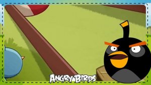 Angry Birds Toons Season 1 Episode 11  Slingshot 101