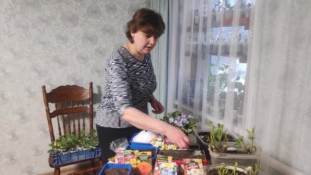 Сеем семена однолетних цветов