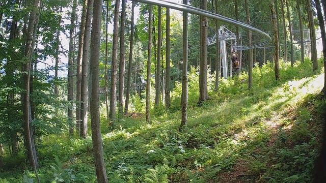 2019 08 17 23 export смотреть онлайн