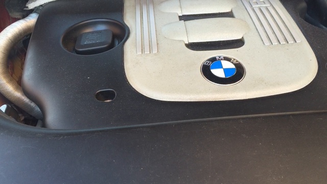 video-03-06-15-10-11 смотреть онлайн