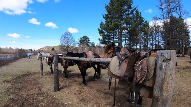 КОННЫЙ ПОХОД В БУРГЕНИ | Чита, Забайкальский край смотреть онлайн