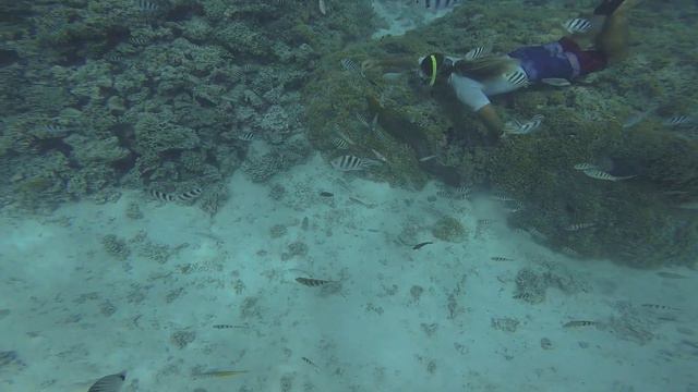 James and Sarah - Bora Bora Honeymoon смотреть онлайн